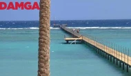 Marsa Alam'da Köpek Balığı Saldırısı: Bir Turist Hayatını Kaybetti