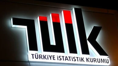 TÜİK 2024 Gelir Dağılımı İstatistiklerini Açıkladı: Gelir Eşitsizliği Azaldı