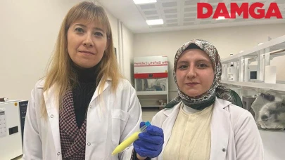 Pansuman Değişimi Ortadan Kalkacak: Yeni Yara Örtüsü Geliştiriliyor