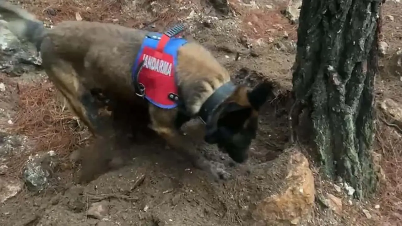 Kayıp olarak aranıyordu, 19 yıl sonra öldürüldüğü ortaya çıktı